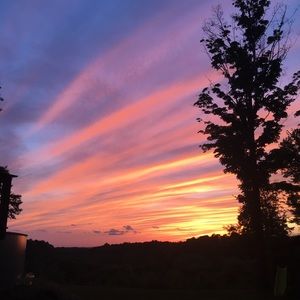 Meet your Posher, Isabelle